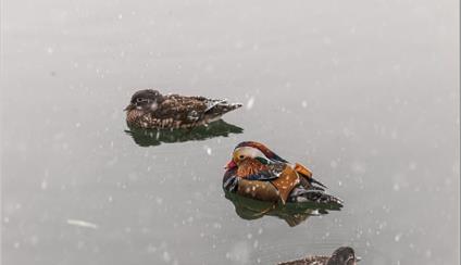 80º BOLETÍN INFORMATIVO DEL CONSULADO GENERAL DE ESPAÑA EN PEKÍN, RP CHINA