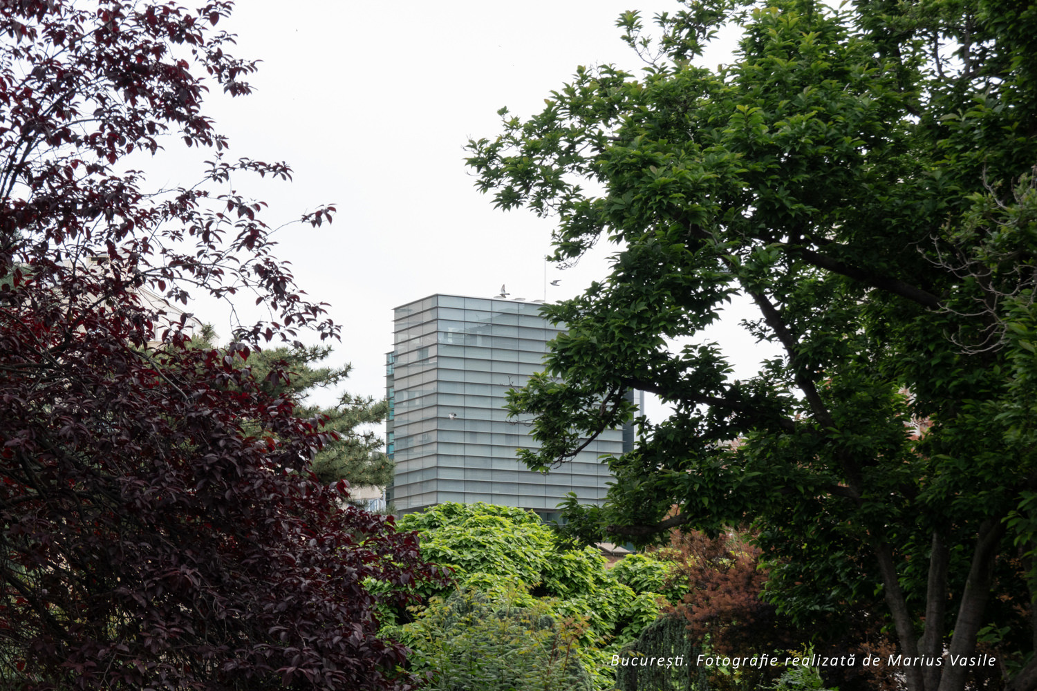 bucuresti edificiu charles de gaulle.jpg