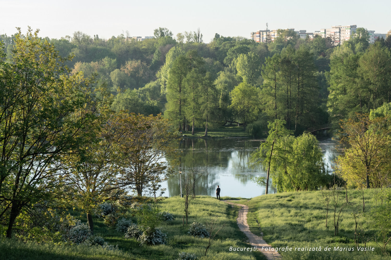 bucuresti parc.jpg