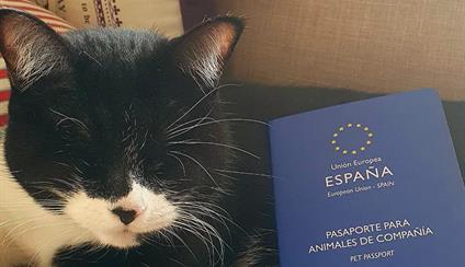 Viaje con animales de compañía