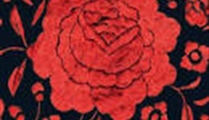 El grupo musical Fuel Fandango de gira por Mozambique y Suazilandia