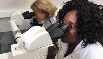 Nuevo Equipo de la Embajada