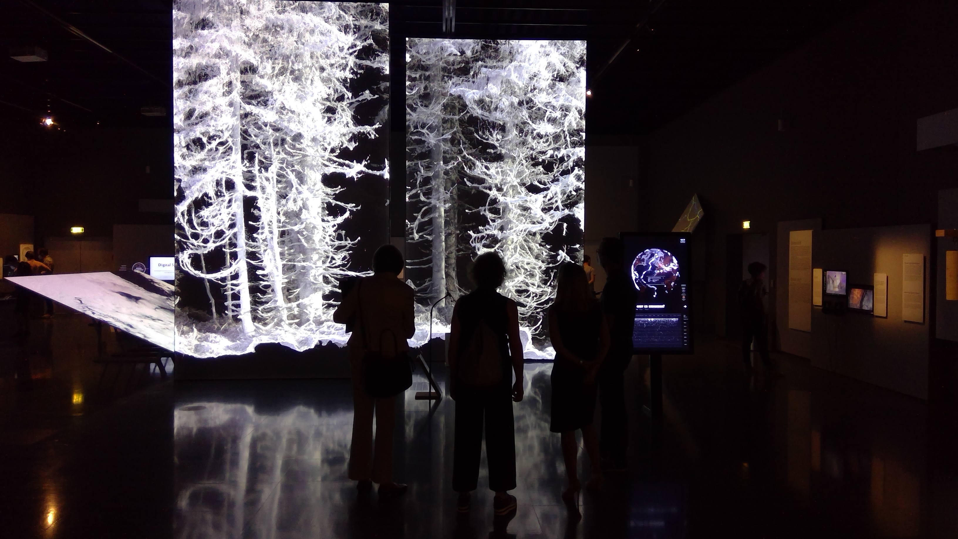 WIN_20210910_13_40_09_Pro